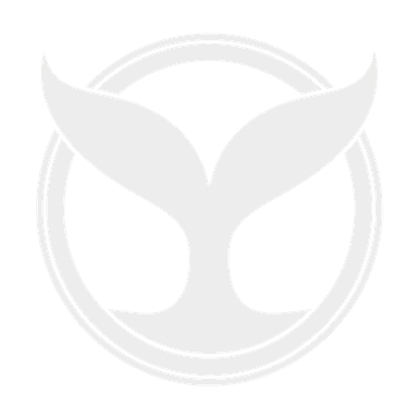 Beluga Manufacturing logo